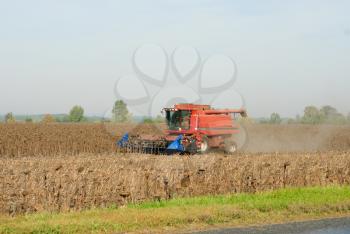 Harvesting of sunflower seeds with combine