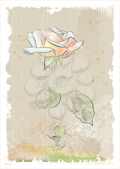 Royalty Free Clipart Image of a Pink Rose
