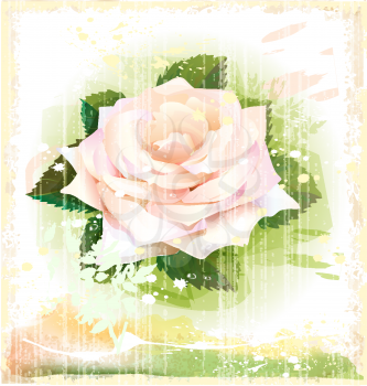 Royalty Free Clipart Image of a Pink Rose Illustration