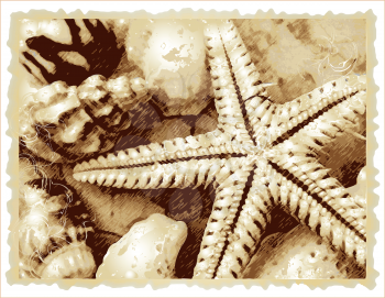 Royalty Free Clipart Image of a Starfish and Seashells