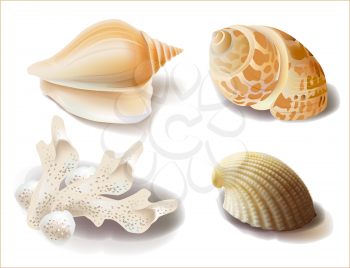 Royalty Free Clipart Image of a Set of Seashells