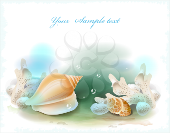 Royalty Free Clipart Image of Seashells Underwater