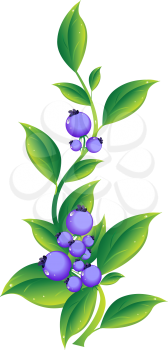 Royalty Free Clipart Image of Berries on a Plant
