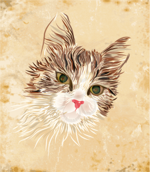 Royalty Free Clipart Image of a Cat 