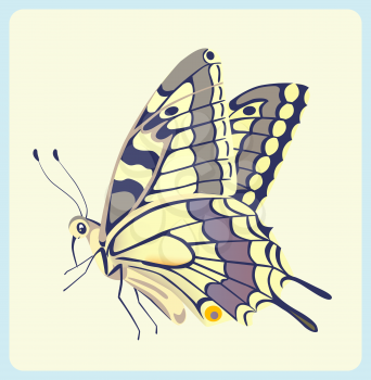 Royalty Free Clipart Image of an Eastern Tiger Swallowtail Butterfly