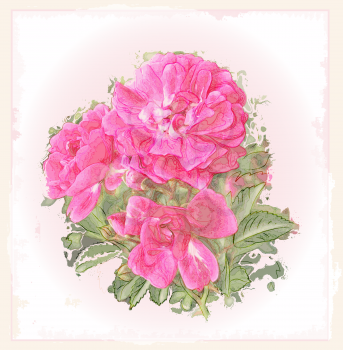 Royalty Free Clipart Image of Pink Roses