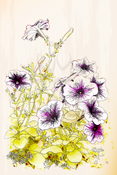 Royalty Free Clipart Image of Petunias