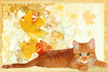 Royalty Free Clipart Image of an Autumn Cat Background