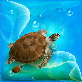 Royalty Free Clipart Image of Turtles Swimming