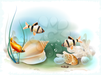 illustration of the tropical underwater world