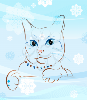 cat and snowflakes