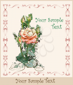 vintage greeting card with rose