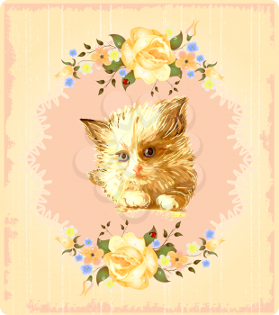 vintage greeting card with kitten and  roses 