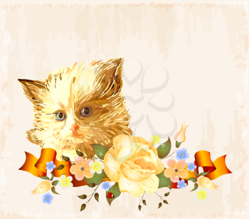 vintage greeting card with  fluffy kitten and ribbon
