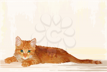 hand drawn portrait of the  lying ginger kitten 