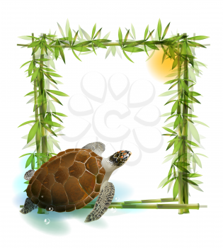 tropical  background with bamboo, sun and sea turtle