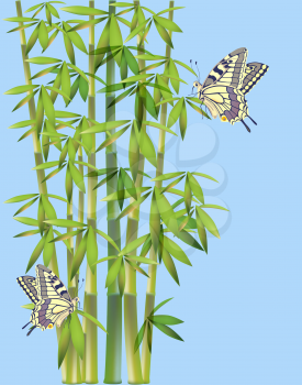 batterflies  and bamboo