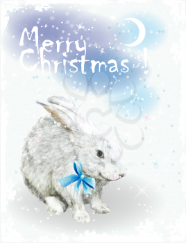 Christmas card  with white rabbit