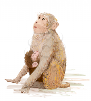 hand drawn illustration of  the monkey feeding newborn baby