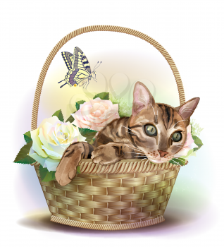 Illustration of  the tabby cat sitting in a basket with roses. 