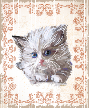 vintage greeting card with  fluffy kitten 