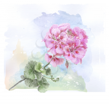 hand drawn  watercolor pink geranium flower