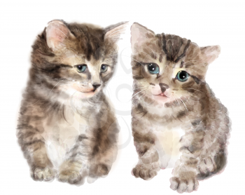 Pair of cute fluffy kittens.  Imitation of watercolor painting.