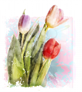 Bouquet of tulips. Watercolor illustration

