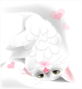 playful white cat for Valentine's day greeting card