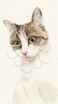 hand drawn watercolor sketch of the cat