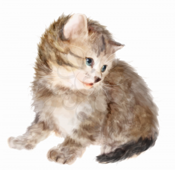 Fluffy kitten.  Imitation of watercolor painting.

