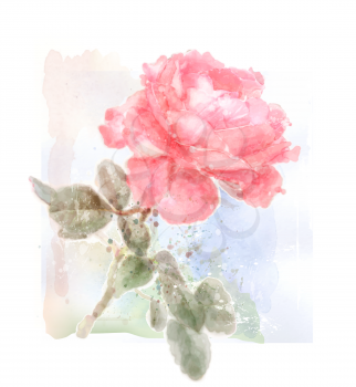 imitation of watercolor illustration of red rose
