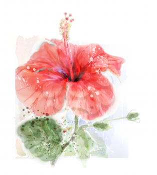 imitation of watercolor illustration of red hibiscus