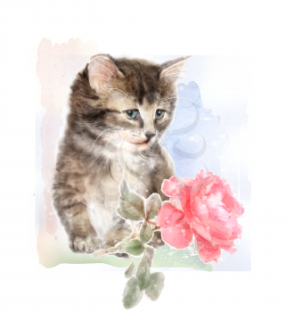 Fluffy kitten with rose.  Imitation of watercolor painting.