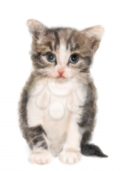 Fluffy kitten.  Imitation of watercolor painting.