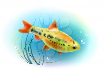 Beautiful fish in the sea.  Aquarium fish.  Underwater world. Realistic  illustration.

