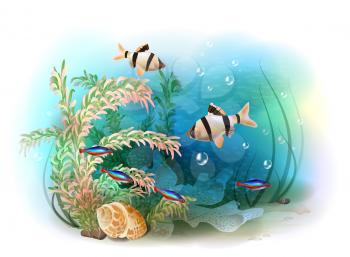 Illustration of the tropical underwater world. Aquarium fish.