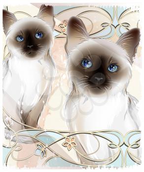 Portrait of the couple Thai cats. Traditional Siamese cats. Two kitten on the grunge background.