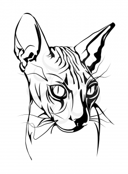 black-white  graphic portrait of the  Canadian sphinx cat. Design can be used for  t-shirt.