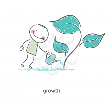 Man watering a plant. Illustration.