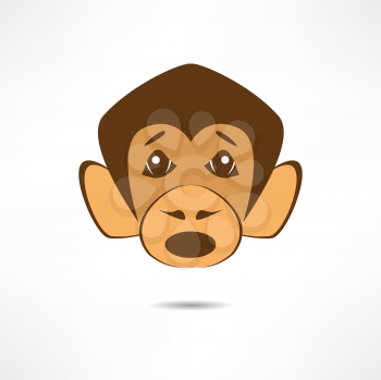 Surprised monkey.