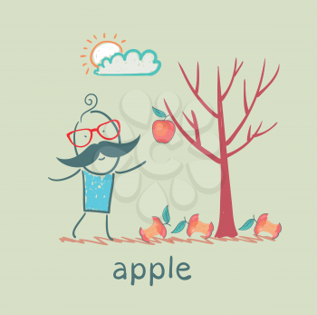 a man stands with a tree on which one apple