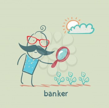 banker is looking through a magnifying glass on plants
