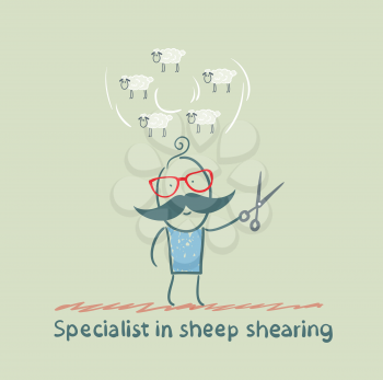 expert thinks about how to shear sheep