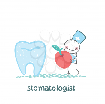 stomatologist    with apple standing near a large tooth