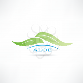 creative aloe icon