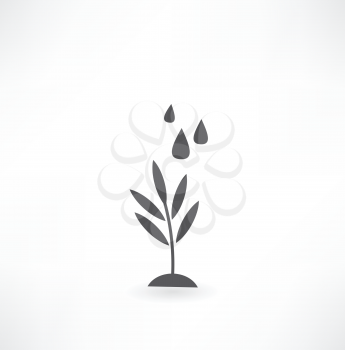 watering of grass water drops icon