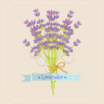 Lavender flowers icon 