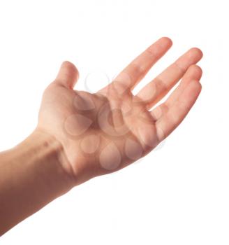 Human palm on white background