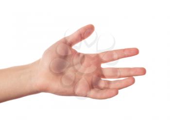 One human hand with five fingers